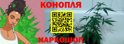 дмт Владимир