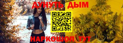 дмт Владимир
