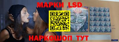 дмт Владимир