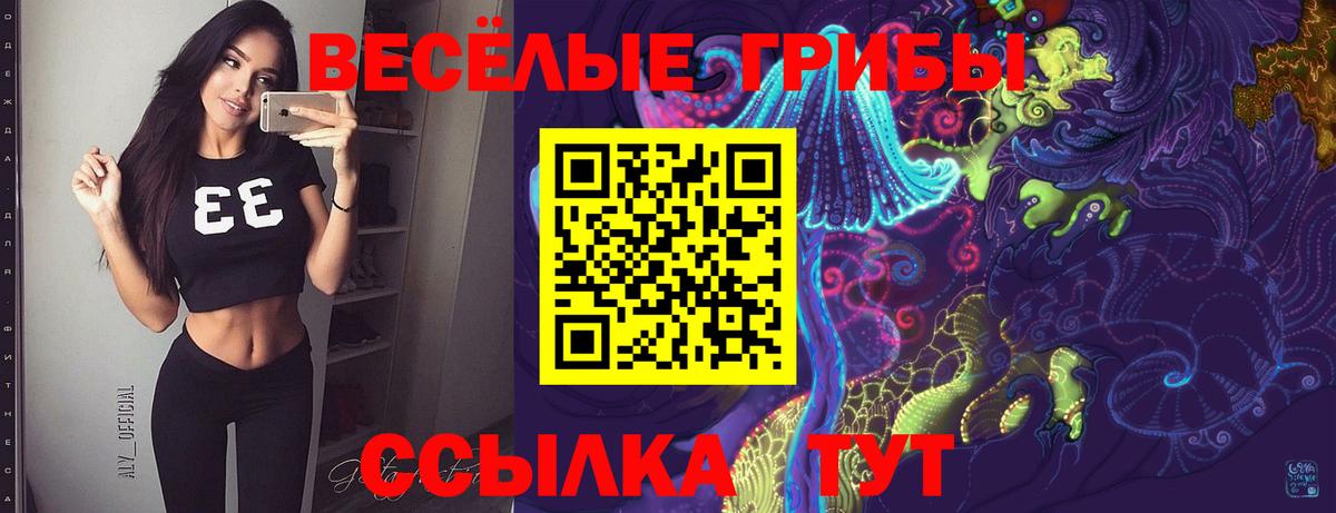 Великий Новгород  Галлюциногенные грибы прущие грибы  Псилоцибиновые грибы мицелий  Вход с VPN 