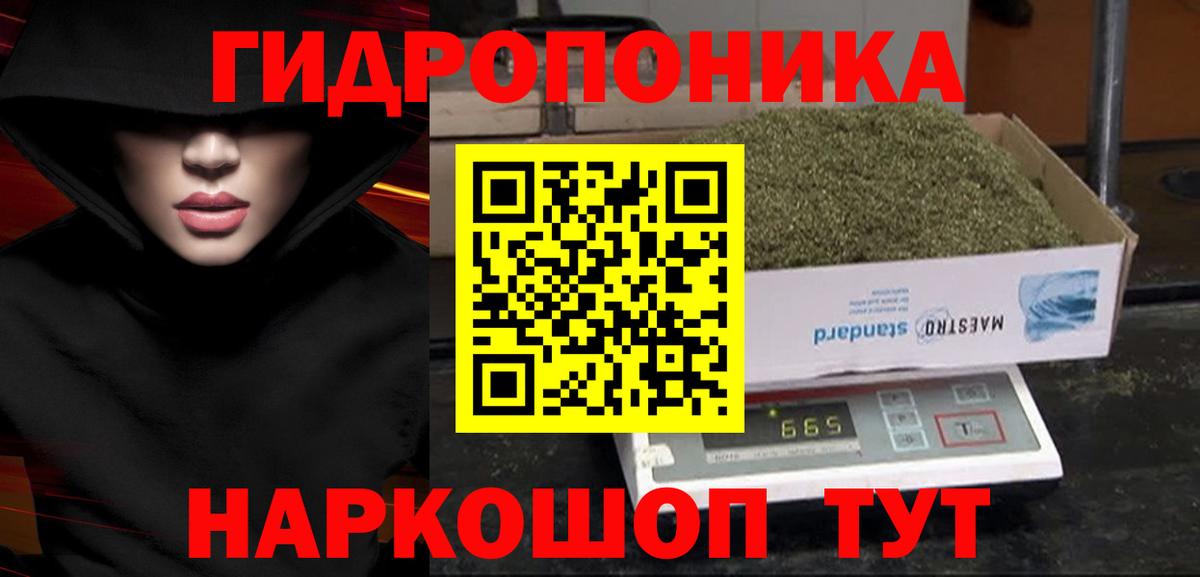 Шишки марихуана Bruce Banner  Вход с VPN  Марихуана VHQ  Великий Новгород 